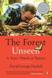 bokomslag Forest Unseen