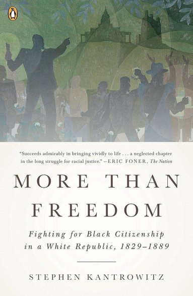 Stephen Kantrowitz - More Than Freedom, Häftad