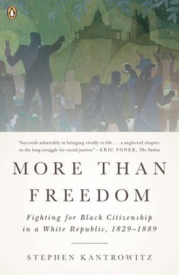 Stephen Kantrowitz - More Than Freedom, Häftad