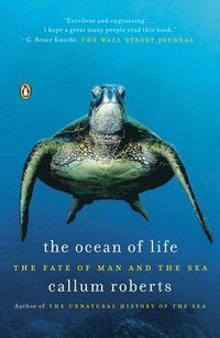 bokomslag The Ocean of Life: The Fate of Man and the Sea