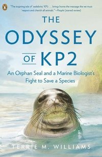 bokomslag The Odyssey of Kp2: An Orphan Seal and a Marine Biologist's Fight to Save a Species