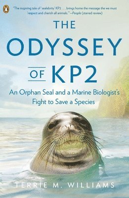bokomslag The Odyssey of Kp2: An Orphan Seal and a Marine Biologist's Fight to Save a Species