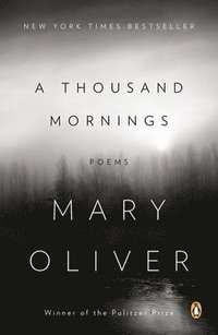 bokomslag A Thousand Mornings: Poems