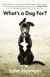 bokomslag What's a Dog For?: The Surprising History, Science, Philosophy, and Politics of Man's Best Friend