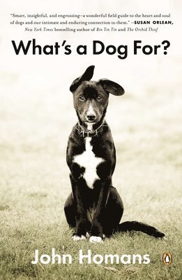 bokomslag What's a Dog For?