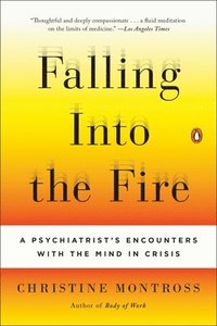 bokomslag Falling Into the Fire: A Psychiatrist's Encounters with the Mind in Crisis