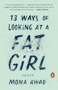 bokomslag 13 Ways of Looking at a Fat Girl: Fiction