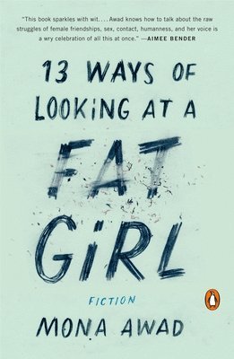 bokomslag 13 Ways Of Looking At A Fat Girl