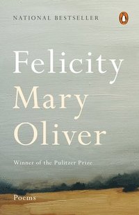 bokomslag Felicity