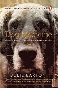 bokomslag Dog Medicine