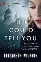 Elizabeth Wilhide - If I Could Tell You, Häftad