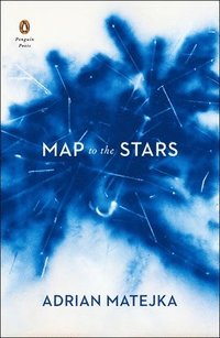 bokomslag Map To The Stars