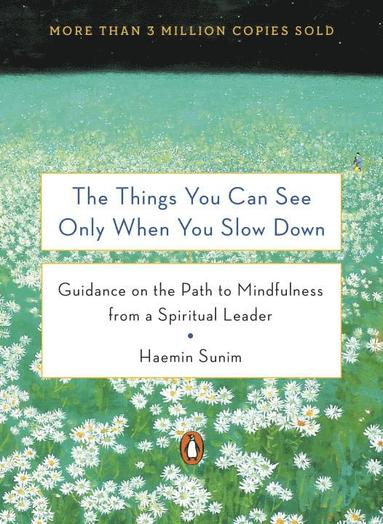 bokomslag The Things You Can See Only When You Slow Down: How to Be Calm in a Busy World