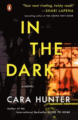 Cara Hunter - In the Dark, Häftad