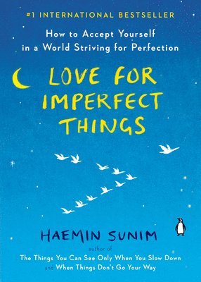 bokomslag Love for Imperfect Things