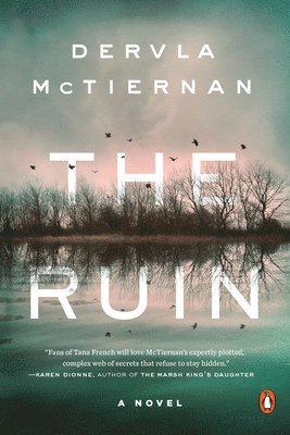 Dervla McTiernan - The Ruin, Häftad
