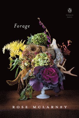 Forage 1