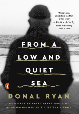 Donal Ryan - From a Low and Quiet Sea, Häftad