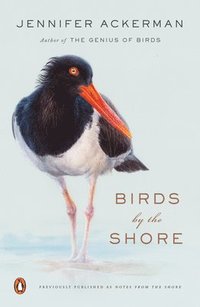 bokomslag Birds by the Shore: Observing the Natural Life of the Atlantic Coast