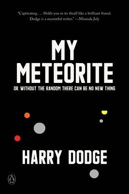 bokomslag My Meteorite