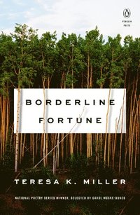 bokomslag Borderline Fortune