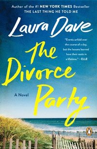 bokomslag The Divorce Party