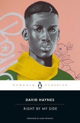 David Haynes - Right by My Side, Häftad