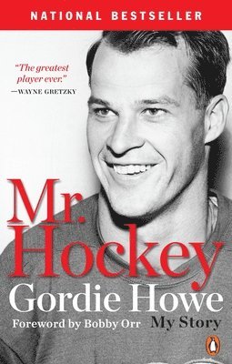 bokomslag Mr. Hockey