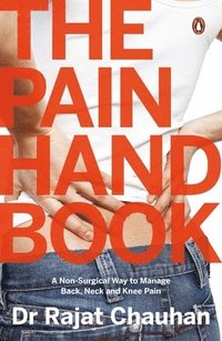 bokomslag Pain Handbook