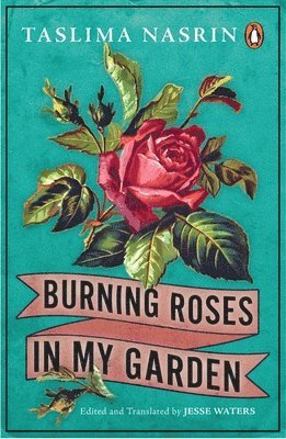Burning Roses in My Garden 1
