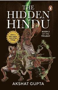 bokomslag The Hidden Hindu