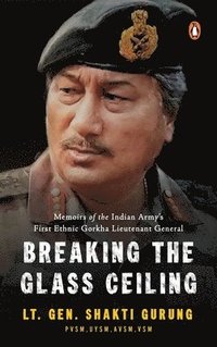 bokomslag Breaking the Glass Ceiling