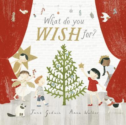 Jane Godwin - What Do You Wish For?, Häftad