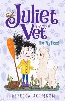 Rebecca Johnson - The Big Flood: Volume 11, Häftad
