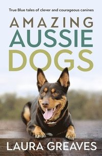 bokomslag Amazing Aussie Dogs
