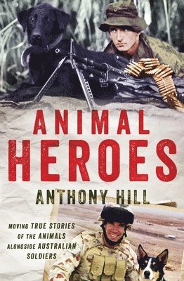 bokomslag Animal Heroes