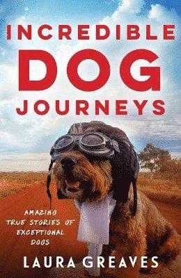 Incredible Dog Journeys 1