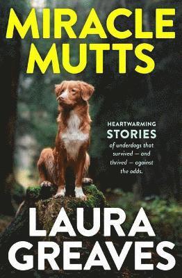 Miracle Mutts