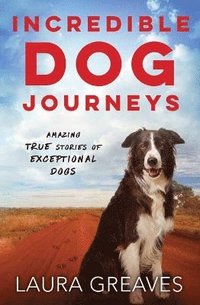 bokomslag Incredible Dog Journeys