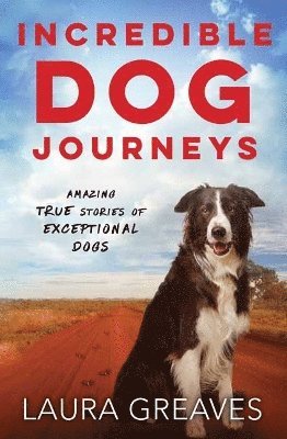 Incredible Dog Journeys 1