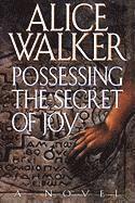 bokomslag Possessing the Secret of Joy