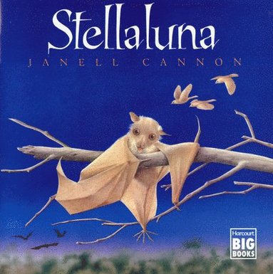 bokomslag Stellaluna (Big Book)