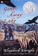 bokomslag Gone-Away Lake: A Newbery Honor Award Winner