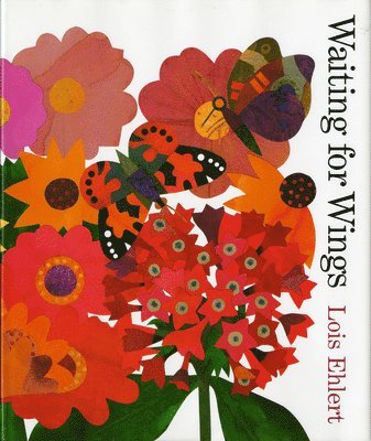 Lois Ehlert - Waiting for Wings, Inbunden