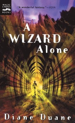 bokomslag A Wizard Alone