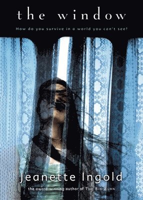 Jeanette Ingold - The Window, Häftad