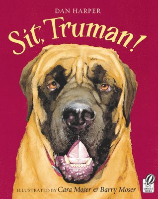 Sit,Truman! 1