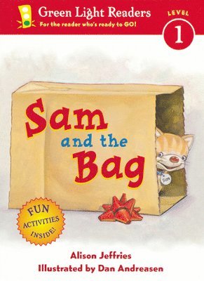 bokomslag Sam and the Bag