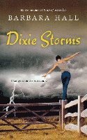 bokomslag Dixie Storms