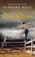 Barbara Hall - Dixie Storms, Häftad